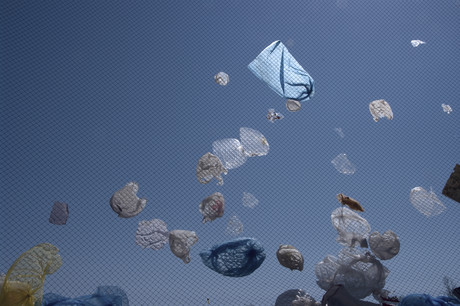Student's shrimp bioplastic internationally recognised Student's shrimp bioplastic internationally recognised