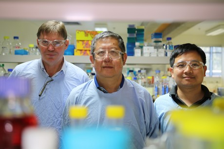 &#39;Non-functioning&#39; genes play their part in cancer research