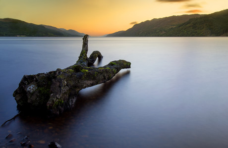 Chasing the DNA of the Loch Ness Monster