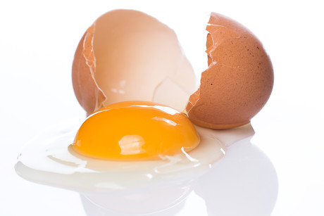 Eating one egg a day reduces stroke risk by 26% Eating one egg a day reduces stroke risk by 26%