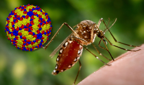 The power of cross-disciplinary collaboration