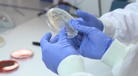 Game-changing glove has built-in infection control Game-changing glove has built-in infection control