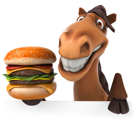 Food fraud, contamination, recalls and traceability