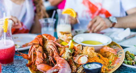 Expand CoOL to foodservice says SIA Expand CoOL to foodservice says SIA