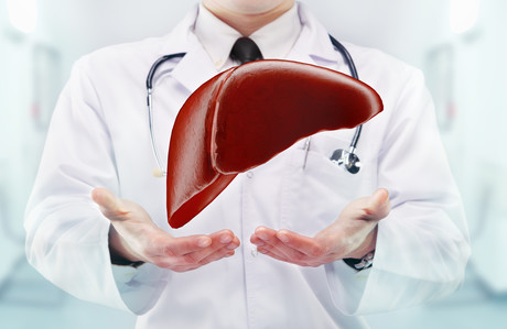 Scientists create a more realistic model of liver cancer