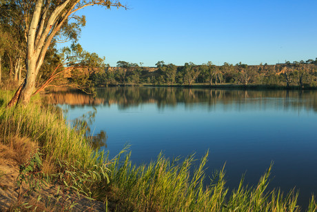 A fresh look at microbes in the Murray River