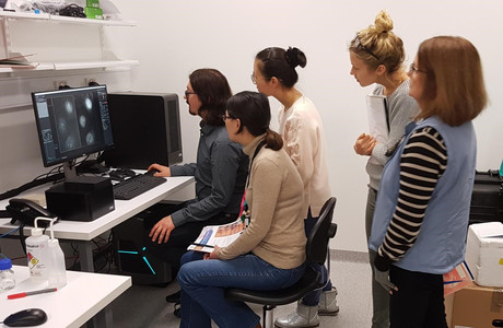 Super-resolution microscopy comes to Westmead