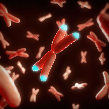 Why do telomeres turn unhealthy as we age? Why do telomeres turn unhealthy as we age?