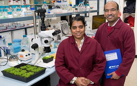 Plant science discovery could help develop treatments for genetic diseases