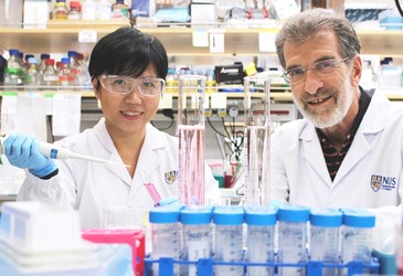 Peptide drug could treat liver cancer more effectively Peptide drug could treat liver cancer more effectively