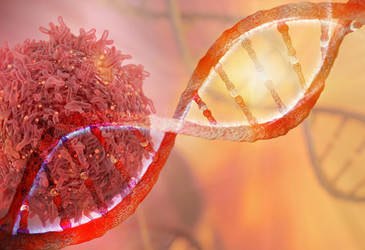 Genetic variation discovered in cancer cell lines Genetic variation discovered in cancer cell lines