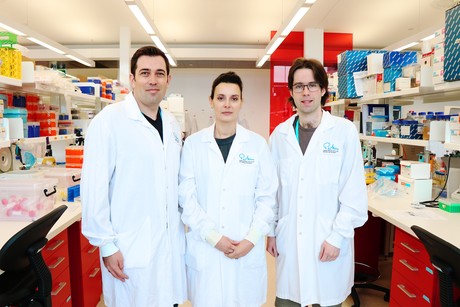 New view of how living cells make energy New view of how living cells make energy