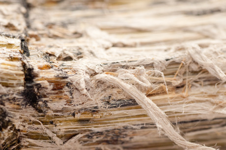 Asbestos still a major issue in 2018