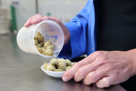 Kakadu plum market to expand with $2.7 million project