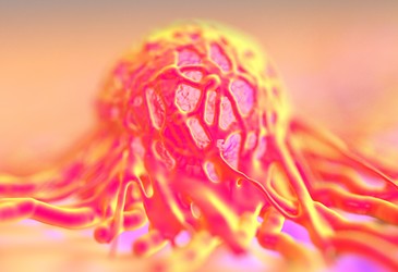 Cancer drugs tested on live human tumours Cancer drugs tested on live human tumours