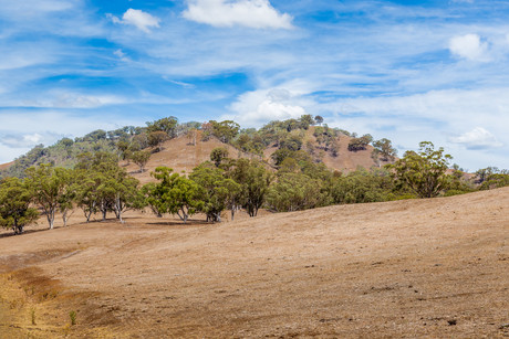 Helping rural councils defend against drought Helping rural councils defend against drought