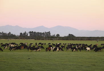 Australian farmers welcome trade deal with Indonesia Australian farmers welcome trade deal with Indonesia
