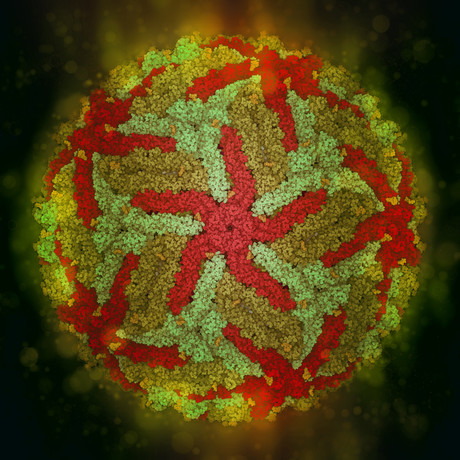 19th International Microscopy Congress kicks off in Sydney 19th International Microscopy Congress kicks off in Sydney