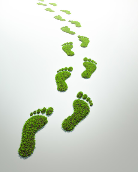 Unlocking the energy savings potential of your compressed air system Unlocking the energy savings potential of your compressed air system
