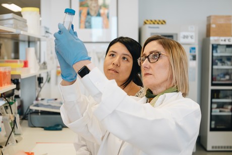 Immune cells associated with schizophrenia