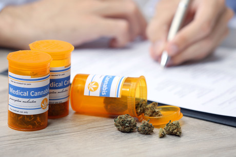 Schedule released for Sydney medical cannabis conference Schedule released for Sydney medical cannabis conference