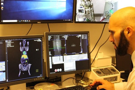 Nanomedicine to treat prostate cancer in man&#39;s best friend