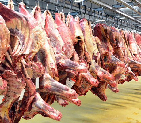 Bye bye, <em>E. coli</em> &mdash; reducing contamination in red meat