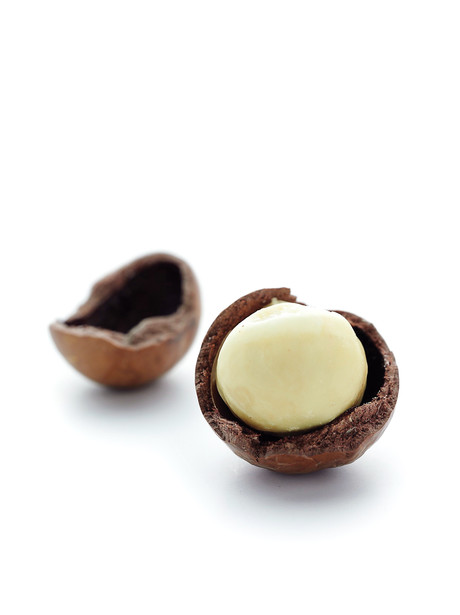 Nutty ideas welcome Nutty ideas welcome