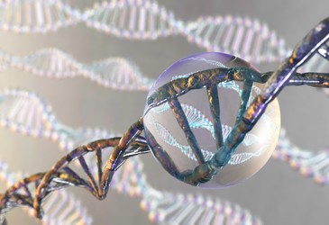 New technique for more accurate genome reconstruction New technique for more accurate genome reconstruction