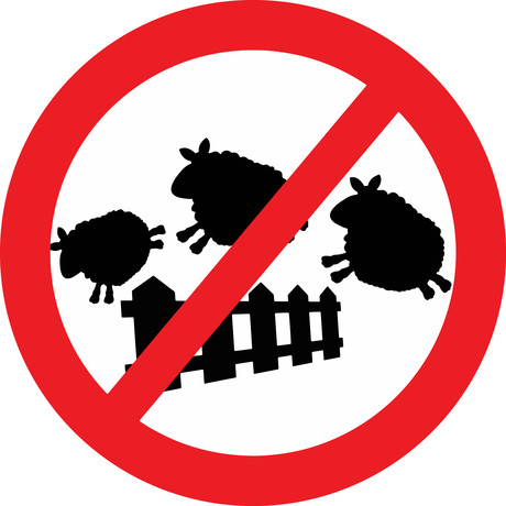 NZ looks to upgrade food recall and risk management regs