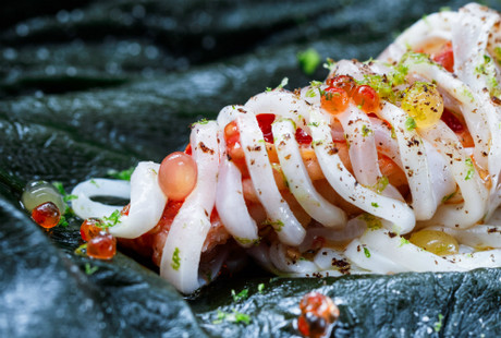 Getting cephalopods onto your plate