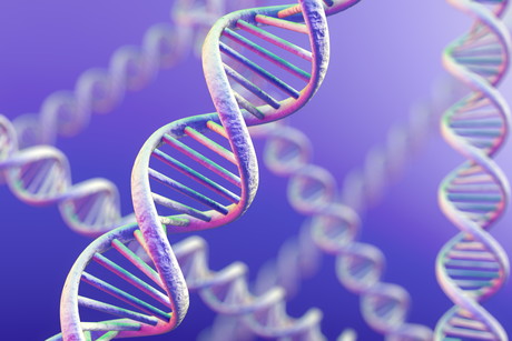 Biomedical research — why are potentially important genes ignored? Biomedical research — why are potentially important genes ignored?