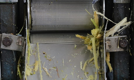 Sweetening the sugar industry&#39;s energy efficiency