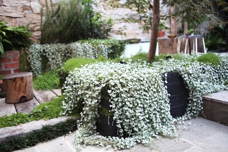 Joint winners for Victorian Landscape of the Year