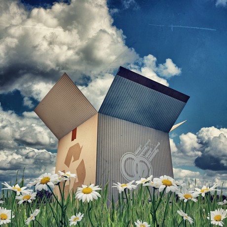 Feedback invited on Sustainable Packaging Guidelines