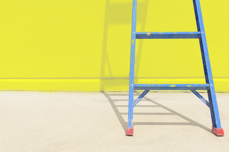 Ladder fall kills labourer