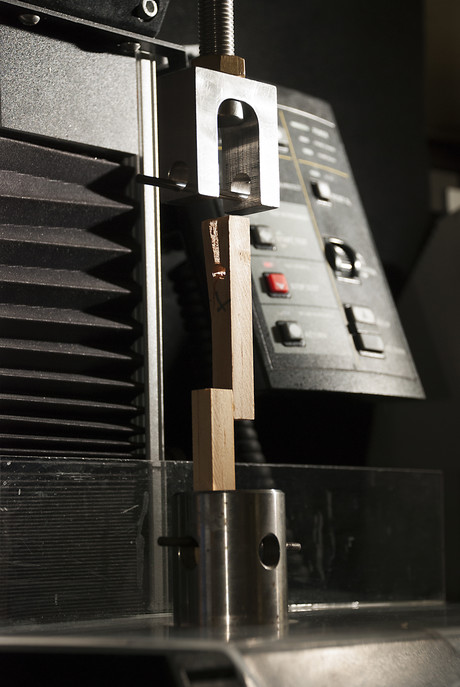 Non-toxic adhesive from soy