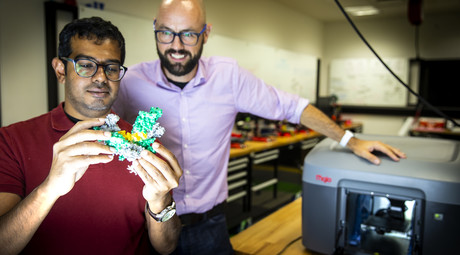 RecA protein and DNA-damage response