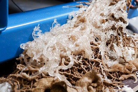 Extruder turns problematic waste into pellets