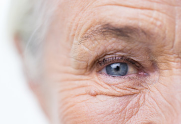 Anti-ageing research under the spotlight Anti-ageing research under the spotlight