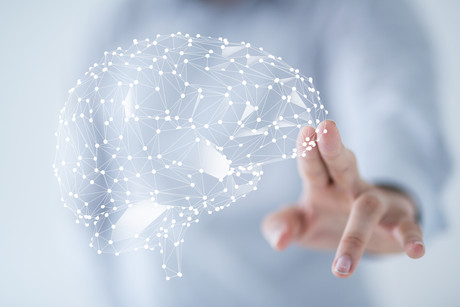 Mapping the brain's immune system Mapping the brain's immune system