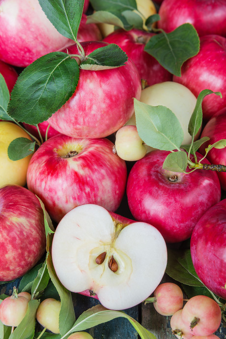 Safeguarding Australia&#39;s fresh food industry