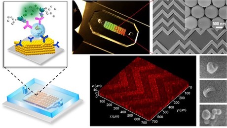 Lab-on-a-chip detects ovarian cancer with a liquid biopsy Lab-on-a-chip detects ovarian cancer with a liquid biopsy