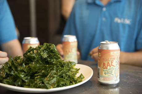 Scientists develop seaweed-based beer Scientists develop seaweed-based beer
