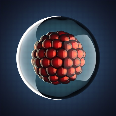 Uncovering unknown stages of foetal development Uncovering unknown stages of foetal development