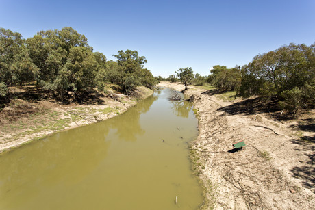 Testing algae to prevent future fish kills Testing algae to prevent future fish kills