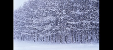 Finland&#39;s plans for PPDR mobile broadband