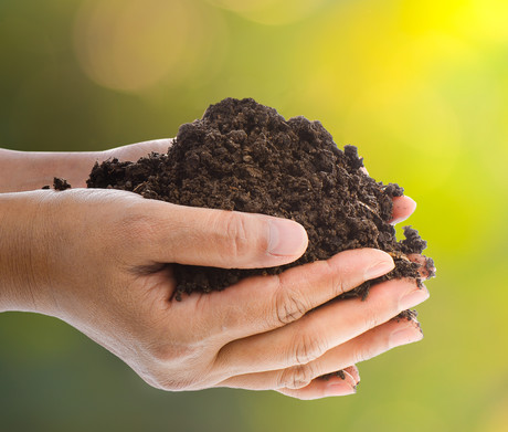 Sensors could prevent over-fertilisation on farms Sensors could prevent over-fertilisation on farms