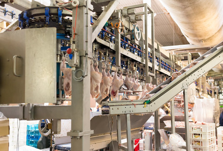 Worker crushed, UK food processor fined &pound;1.4m