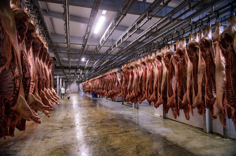Abattoir fined after forklift hits workers